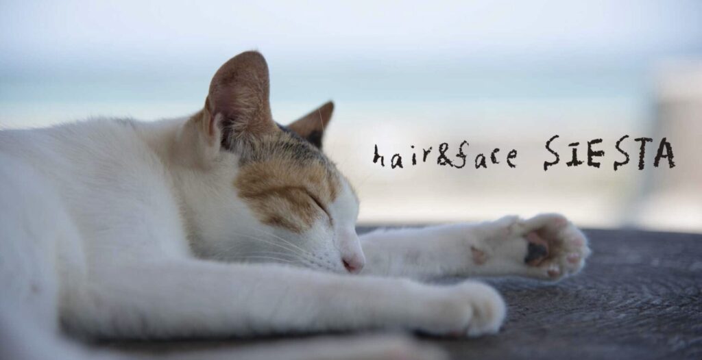 小城市の Hair & Face Siesta（ヘアー＆フェイス シエスタ）