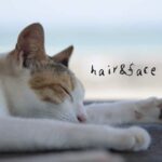 小城市の Hair & Face Siesta（ヘアー＆フェイス シエスタ）
